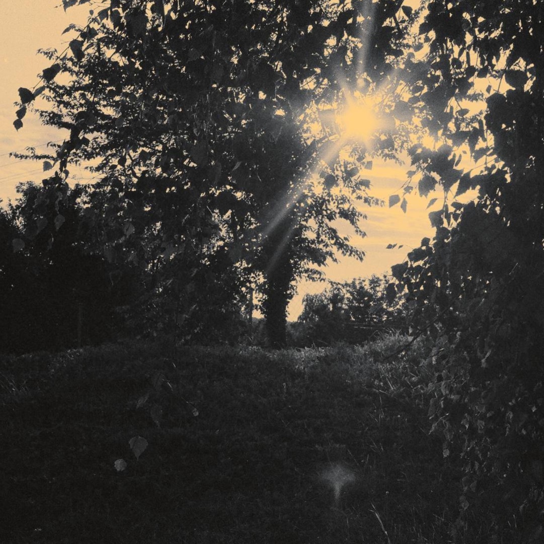 This was from my last day ever at a summer camp, I had to immortalize these magnificent rays breaking through a tree we made memories under